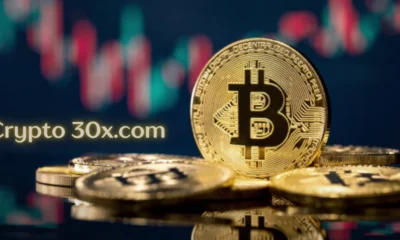 Crypto 30x.com