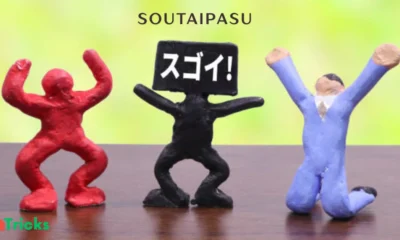 soutaipasu