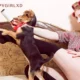 puppygirlxd