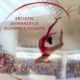 artistic gymnastics olympics tickets