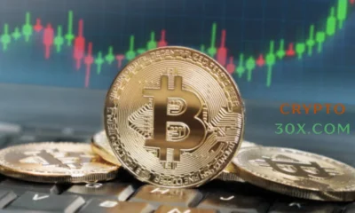 crypto30x.com