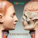 adenoidid