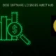 doge software licenses audit hud