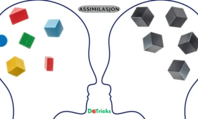 assimilasjon