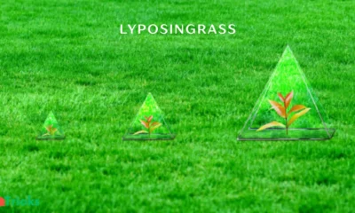 lyposingrass