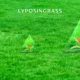 lyposingrass