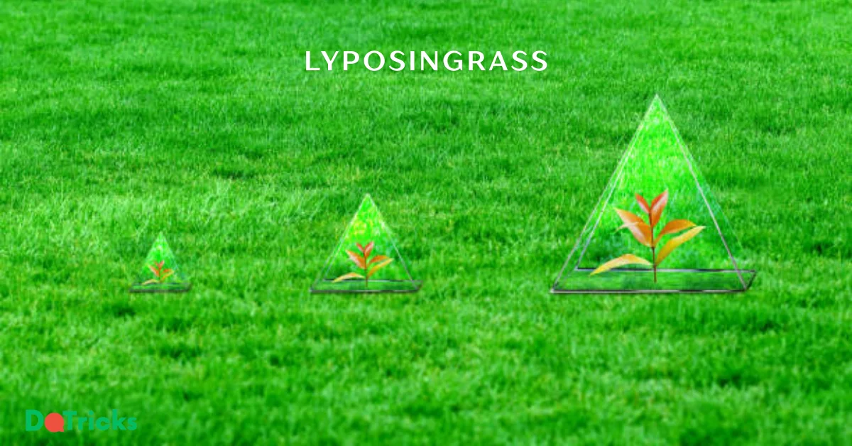 lyposingrass