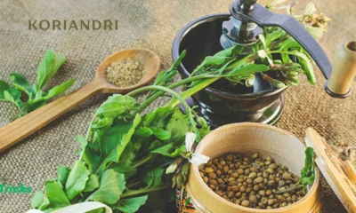 koriandri