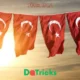 türk idla