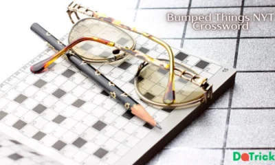 Bumped Things NYT Crossword
