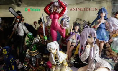 Animeidhen