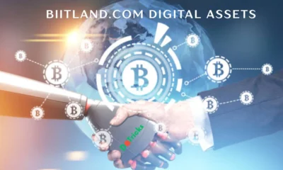 biitland.com digital assets