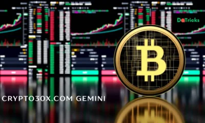 Crypto30x.com Gemini
