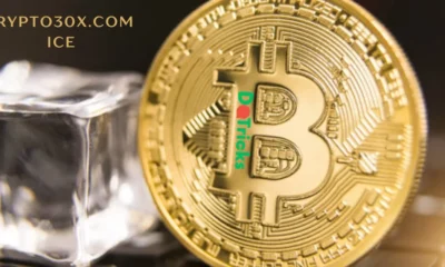 crypto30x.com ice
