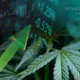 5starsstocks.com cannabis