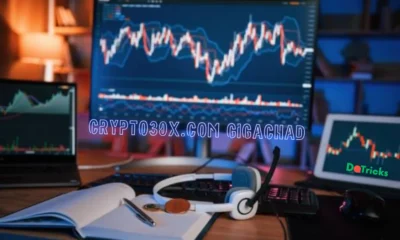 crypto30x.com gigachad