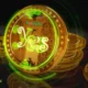 life2vec coin
