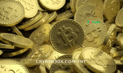 crypto30x.com tnt