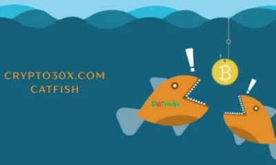 crypto30x.com catfish