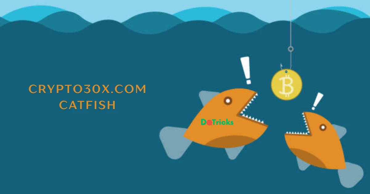 crypto30x.com catfish