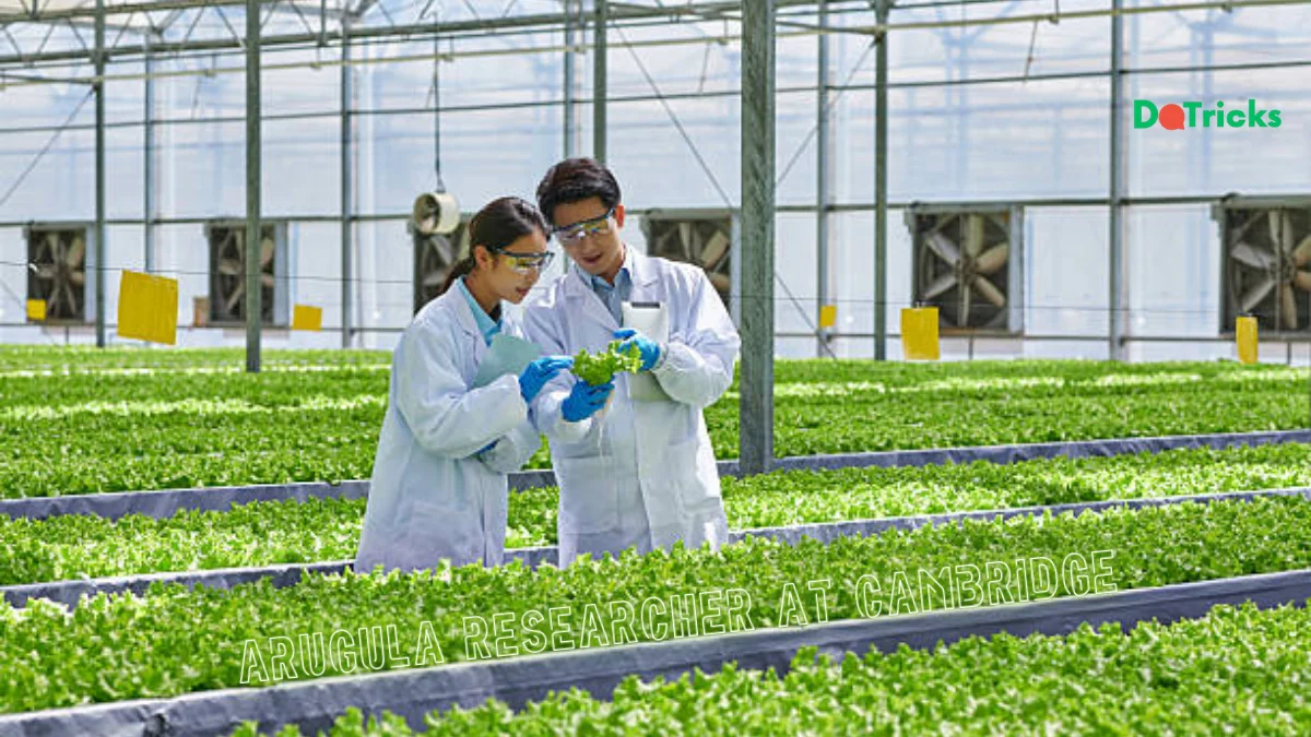 arugula researcher at Cambridge