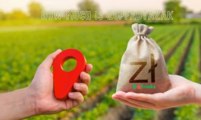 how much is zupfadtazak