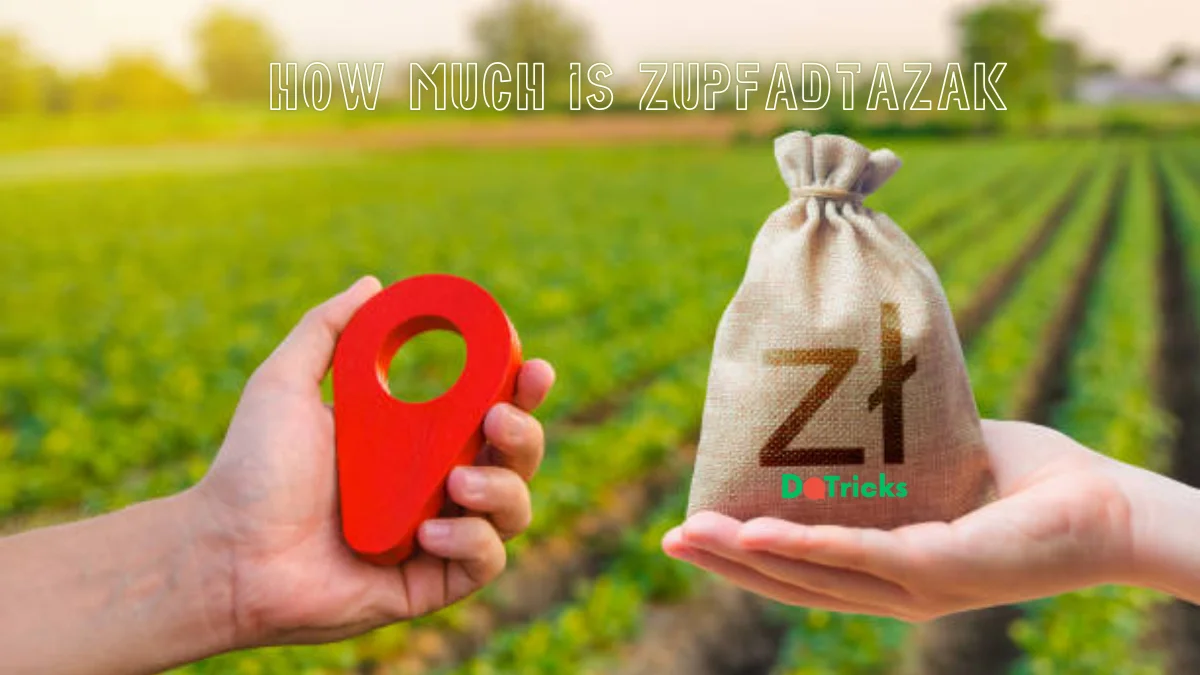 how much is zupfadtazak