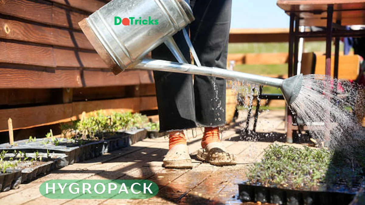 hygropack