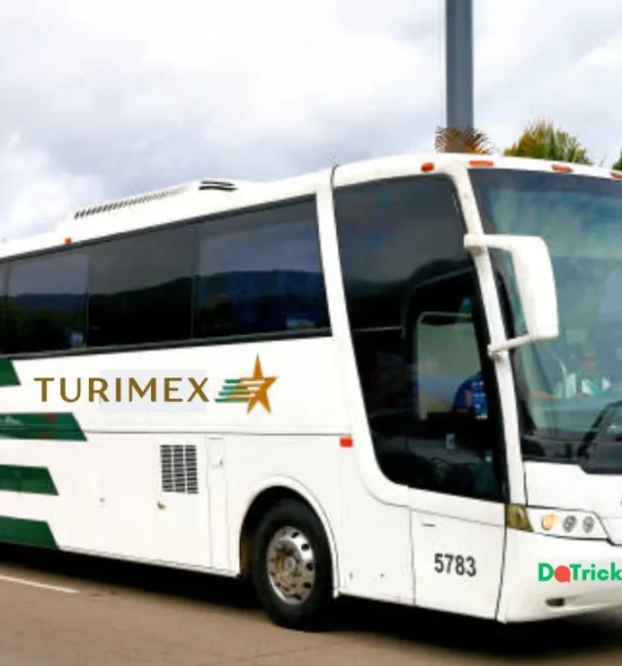 turimex