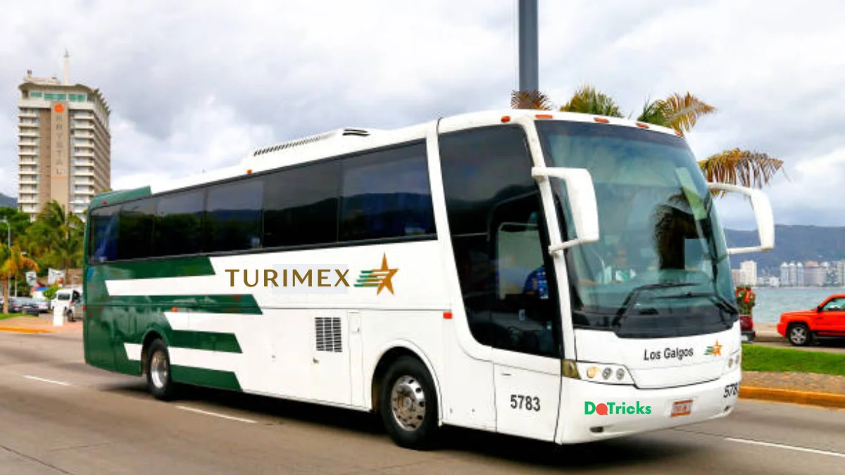 turimex