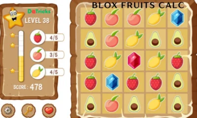 blox fruits calc