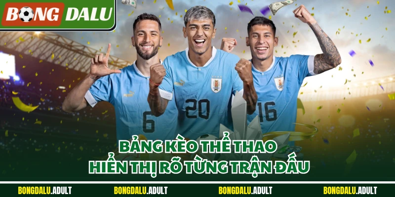 Bảng kèo thể thao hiển thị rõ từng trận đấu