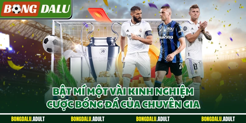 Bật mí một vài kinh nghiệm cược bóng đá của chuyên gia