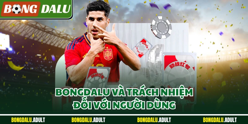 Bongdalu và trách nhiệm đối với người dùng