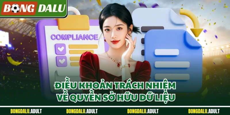 Điều khoản trách nhiệm về quyền sở hữu dữ liệu