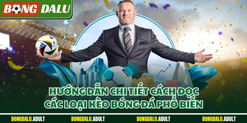 Hướng dẫn chi tiết cách đọc các loại kèo bóng đá phổ biến
