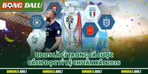Odds Là Gì Trong Cá Cược, Hướng Dẫn Đọc Kèo Chi Tiết